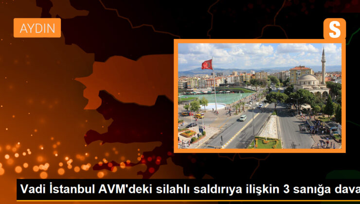 Vadi İstanbul AVM’deki silahlı kavgada 3 kişiye 12 yıl 6 aydan 36 yıl 3 aya kadar hapis istemi